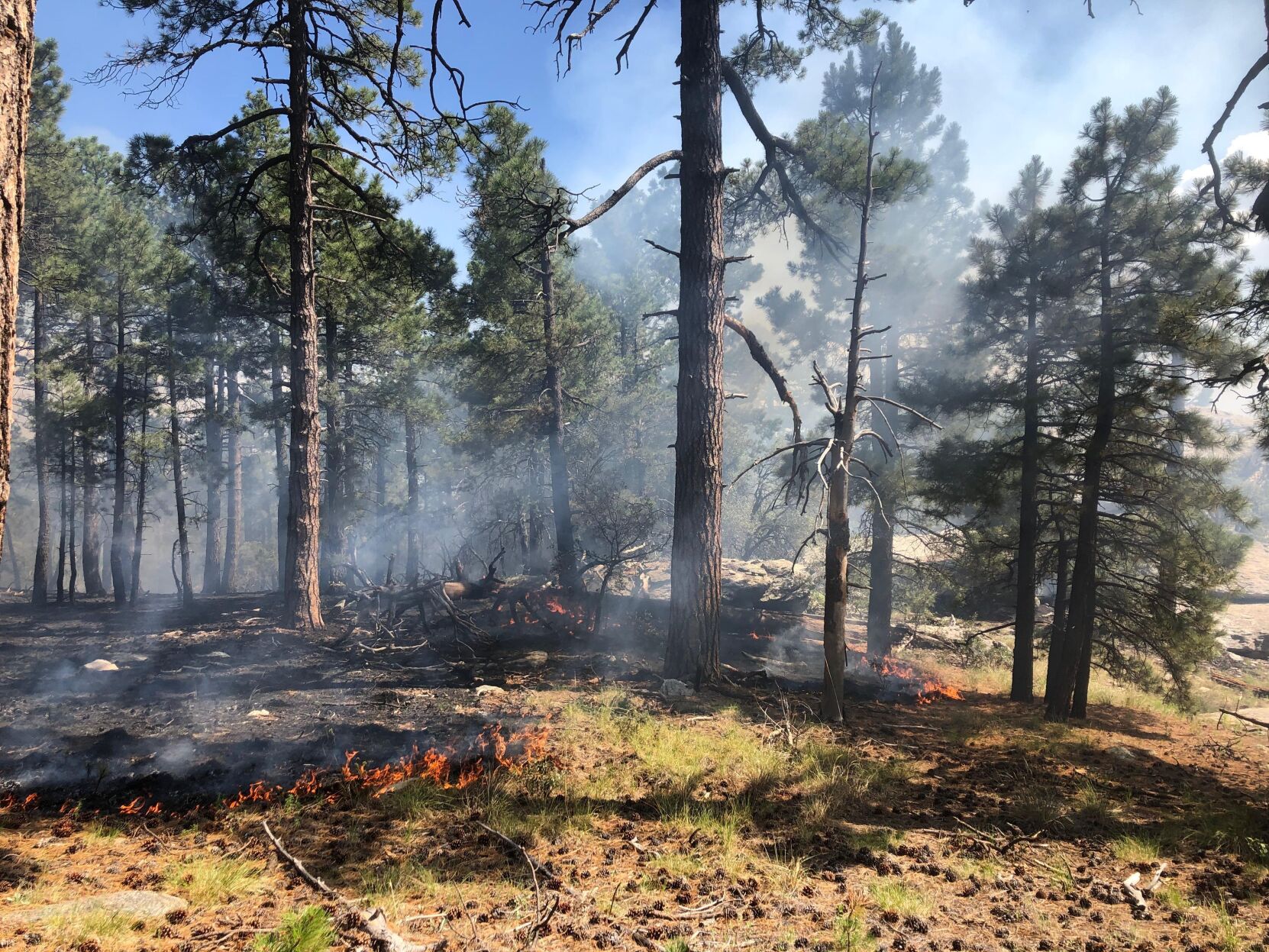 Spud Rock Fire, 2020